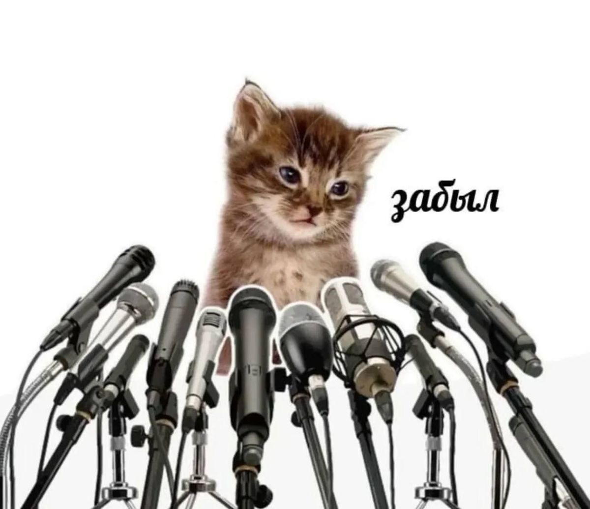 ссылка на изображение: https://pin.it/4sO5ihc4G