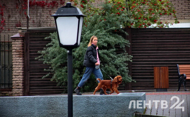    © Анастасия Илюшина / ЛенТВ24, архивное фото