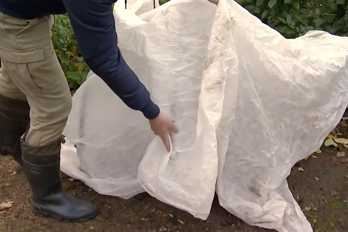 Скриншот видео