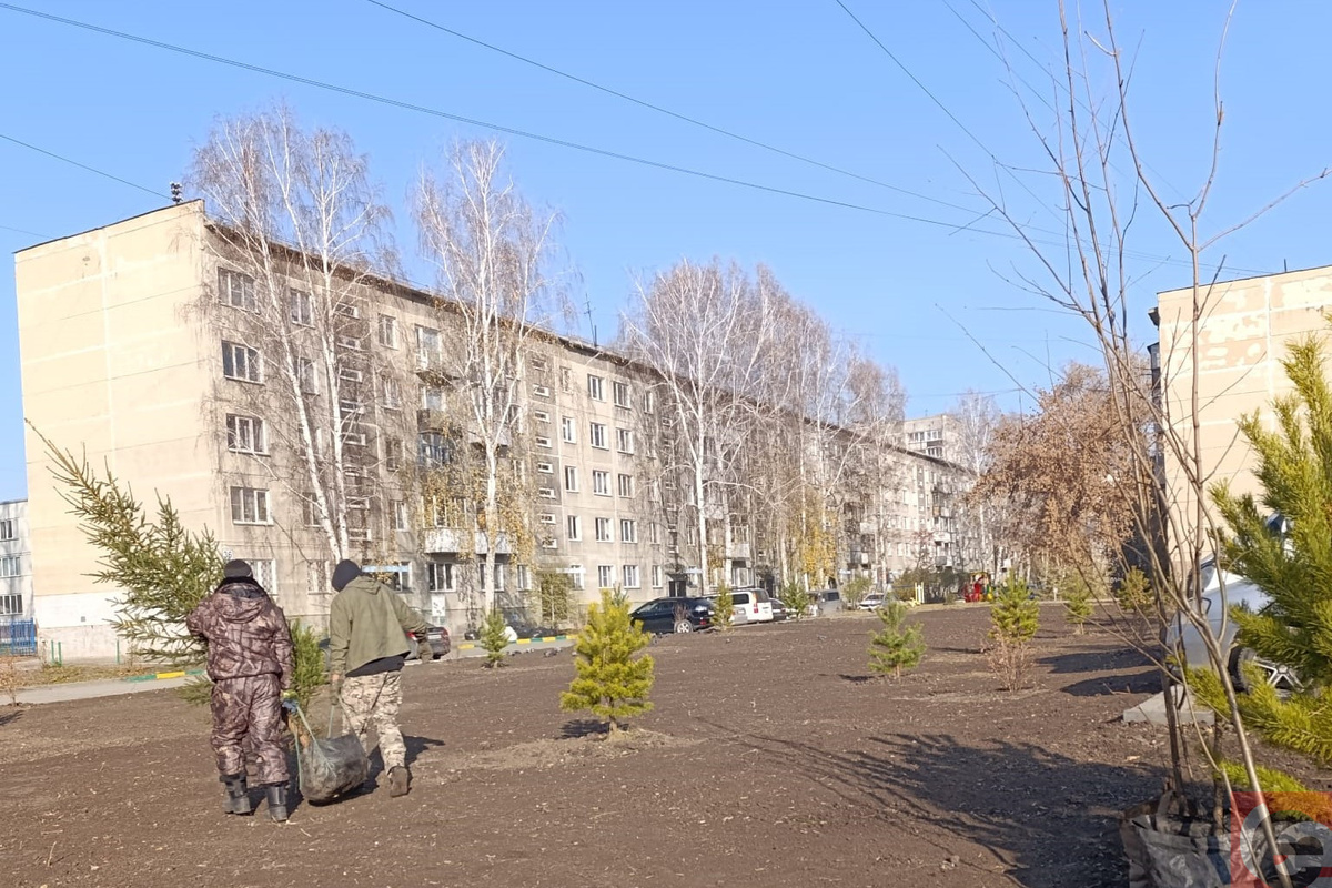    Фото: Прецедент