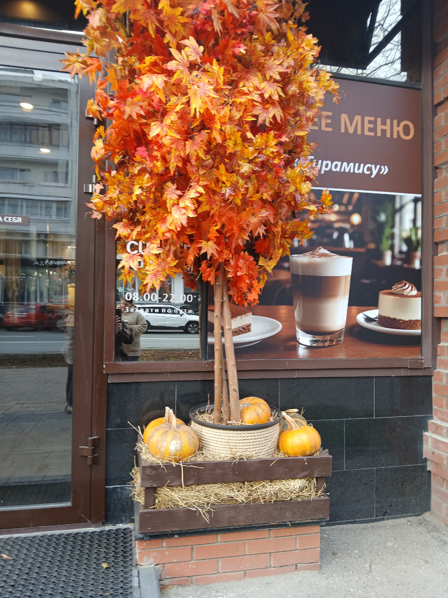 Вот так украсили вход. Очень мило и атмосферно получилось))