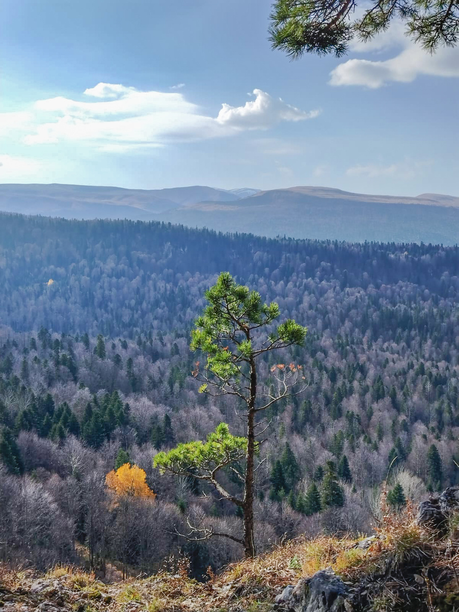 Нагорье Лагонаки, 8 ноября 2025 года. 