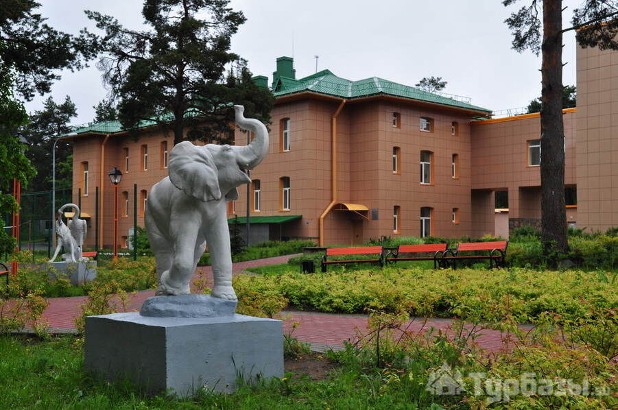 * Источник фото открытый