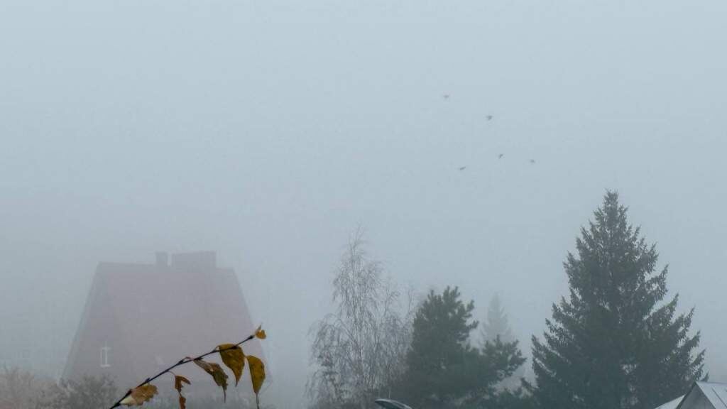    Фото "КурскСити"