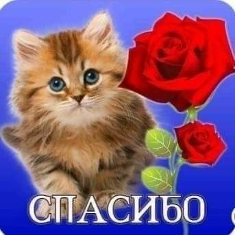 ссылка на изображение: https://pin.it/59wBeNzNA