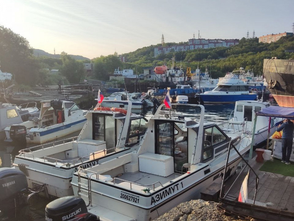 Дарья Терехова, автор отзыва
