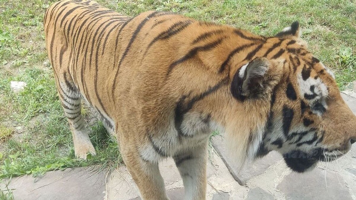    Фото: телеканал «Краснодар»