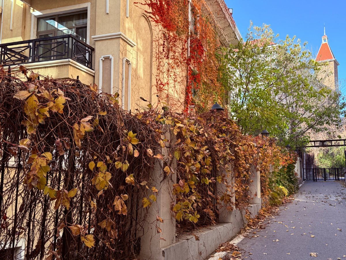 Фото просто для красоты 