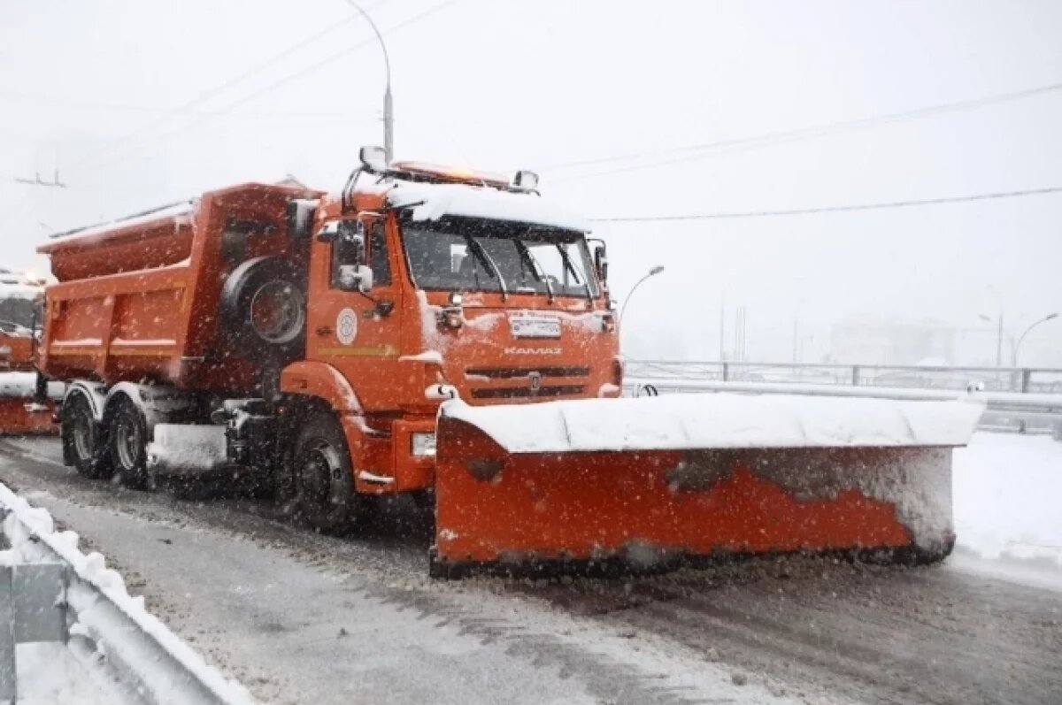    Мэр Новосибирска поручил привести тротуары и переходы в порядок