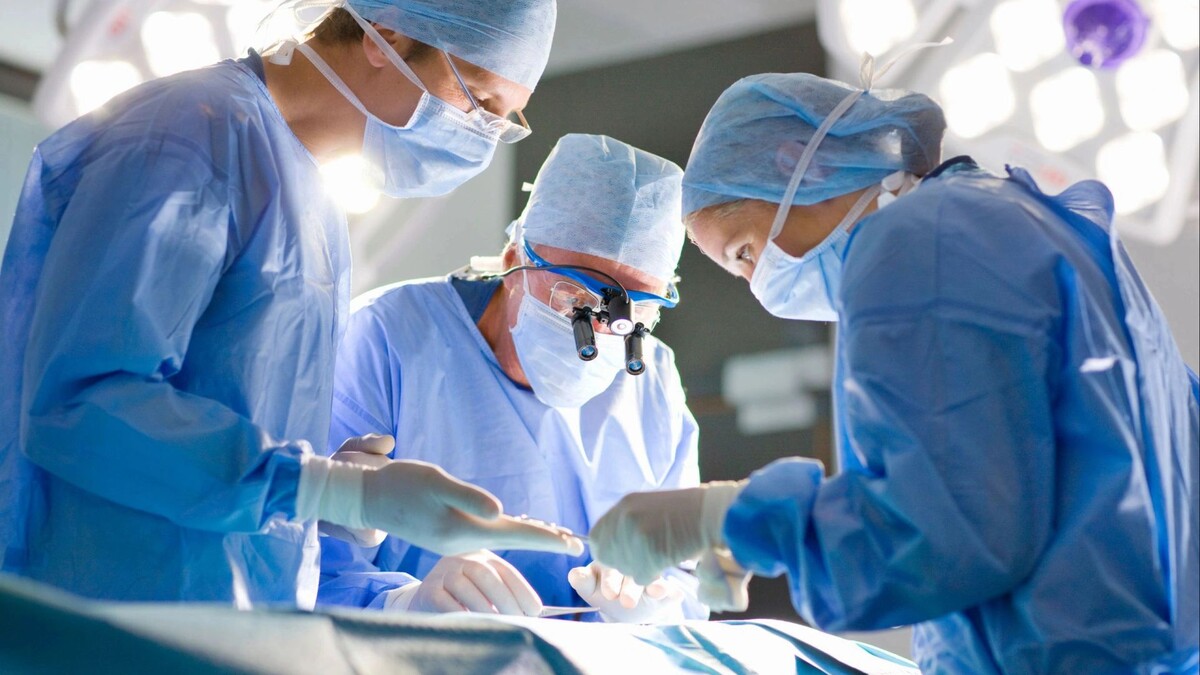    Фото: Juice Verve/Shutterstock/Fotodom