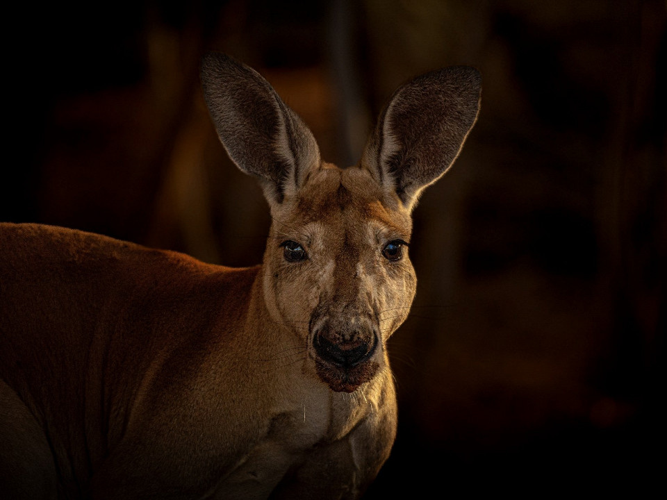 Andy Smythe / Shutterstock.com
