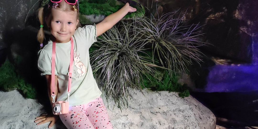 На Родину "Аленького цветочка". Мы побывали в усадьбе Аксакова и посетили самый необычный музей