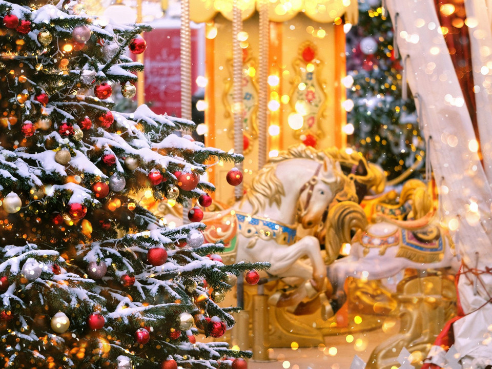 ju_see / Shutterstock.com
