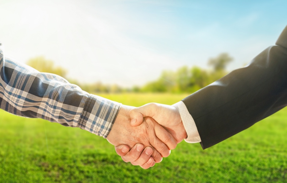 Источник фото shutterstock.com