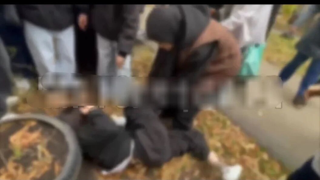    Девочки дрались под одобрительные возгласы парней. Фото: скриншот "Многонационал"