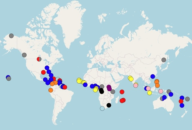 Карта признанных пиджинов и креольских языков мира. Цвета различают язык-основу и насколько пациент скорее жив, чем мёртв