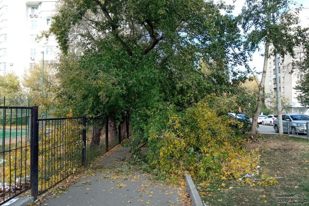    Фото: Вера Яковлева © ИА «Уральский меридиан»