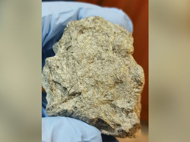    Фото: телеграм-канал "ГЕОХИ РАН"