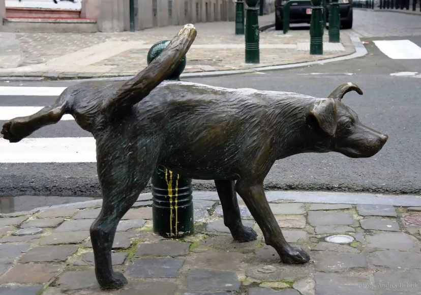 Символично! Источник https://avatars.dzeninfra.ru/get-zen_doc/271828/pub_655dd43b7acce21d6da8f135_655ddf76f23b174169396350/scale_1200