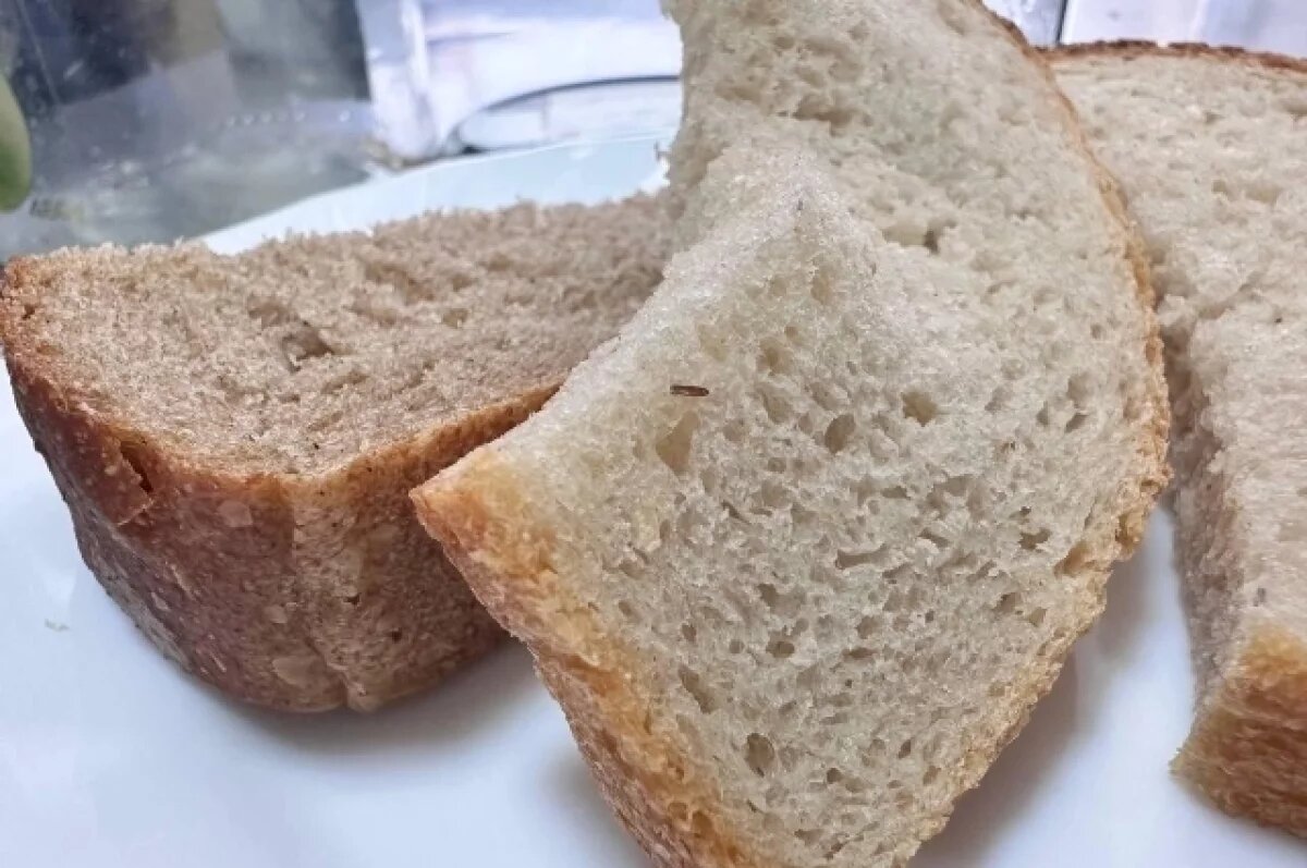    На Камчатке учеников в школе кормили хлебом с личинками и насекомыми