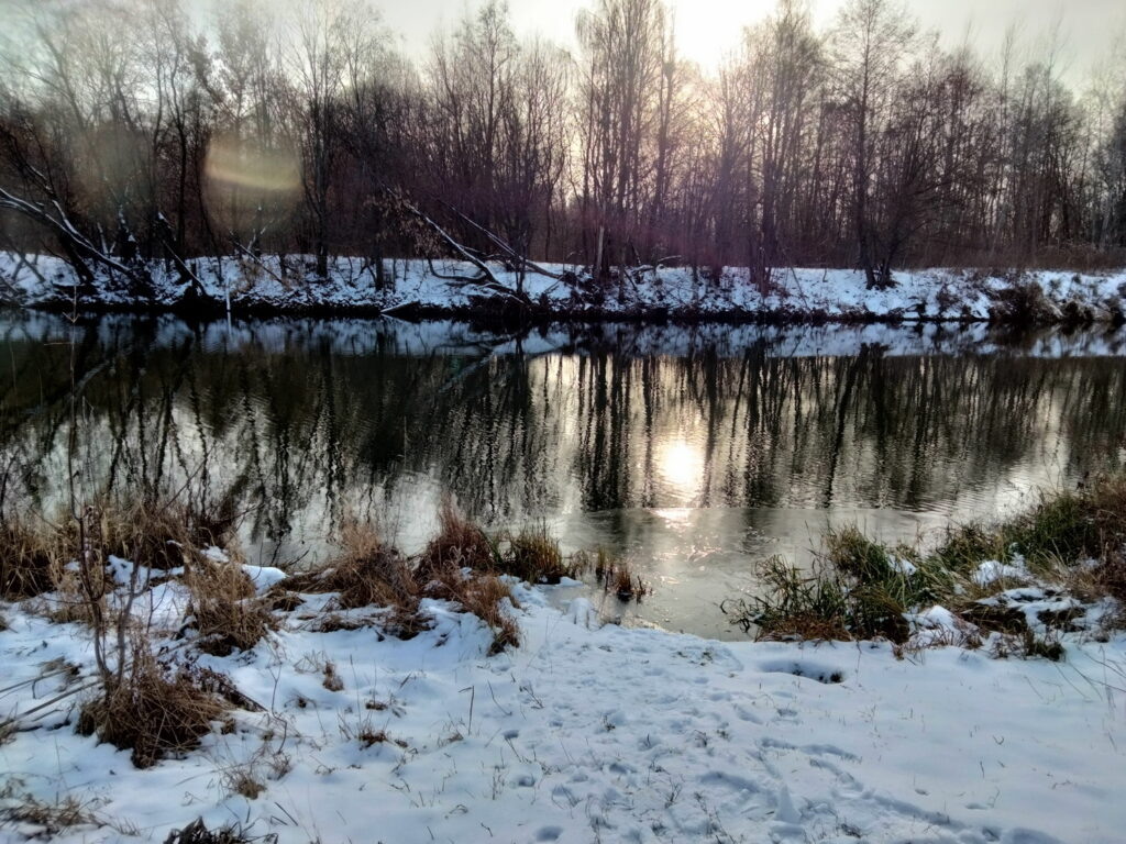    Анастасия Петрова