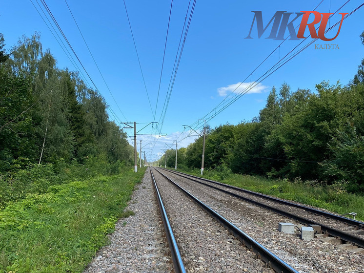     Фото: "МК в Калуге"