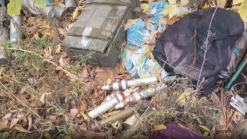    Кадр: видео Росгвардии