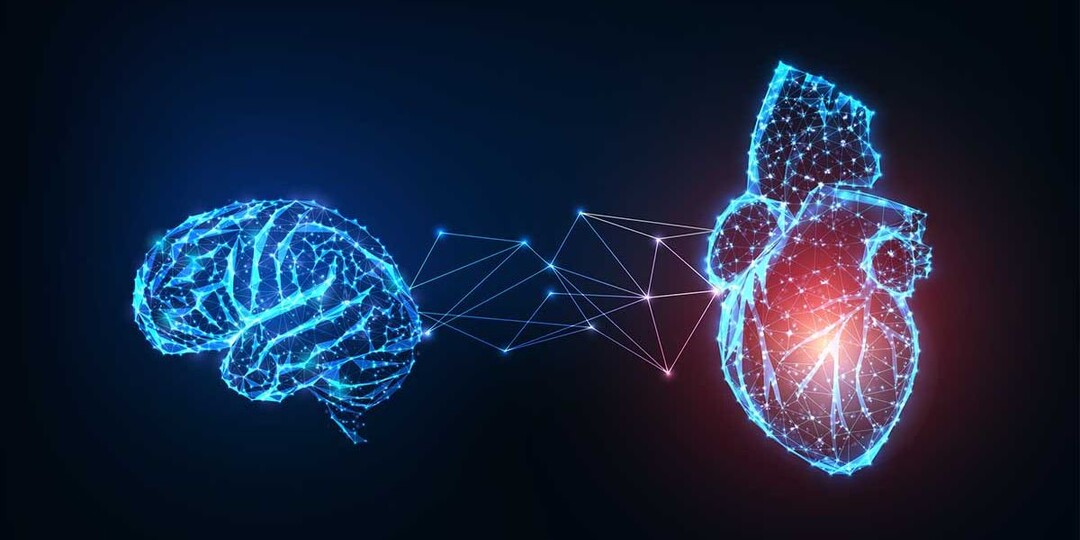 Как синхронизация сердца и мозга меняет нашу жизнь?