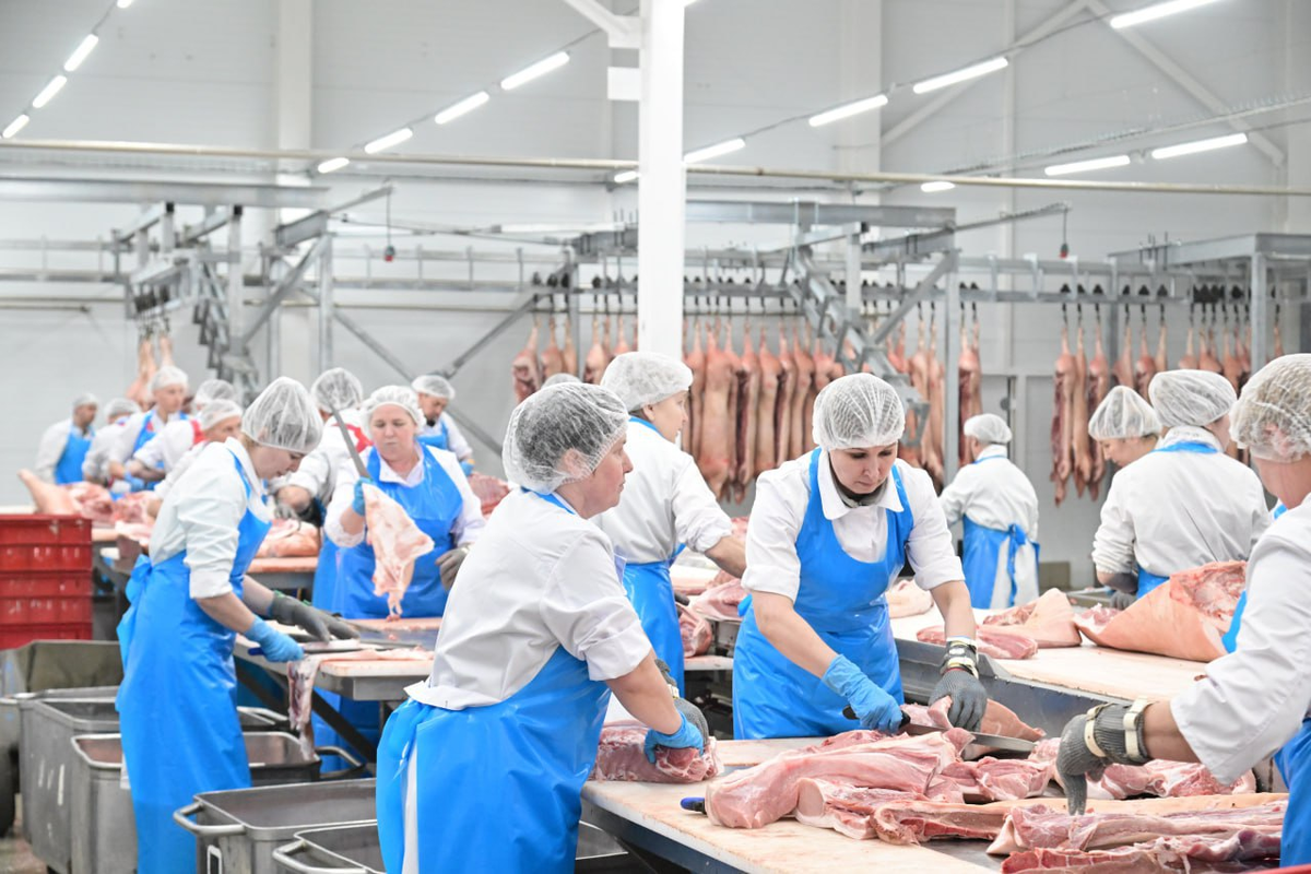    Фото: Правительство Марий Эл