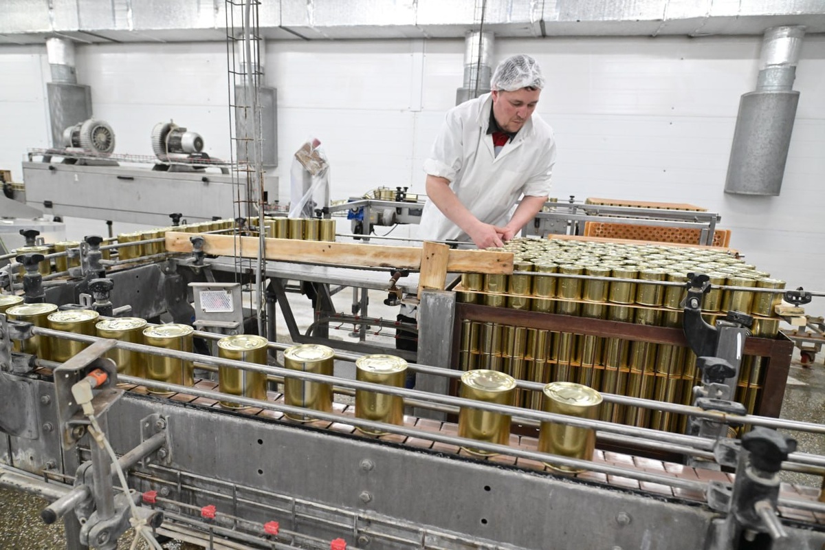    Фото: Правительство Марий Эл