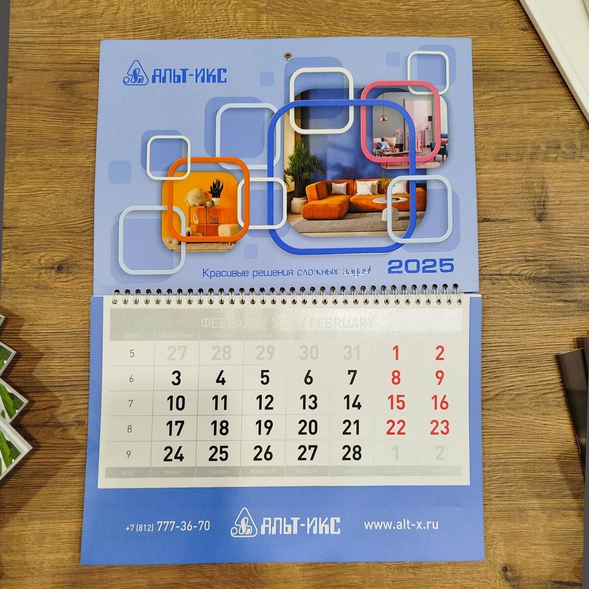 У этого "Трио" реально три месяца. Они свернуты для кормпактности фото