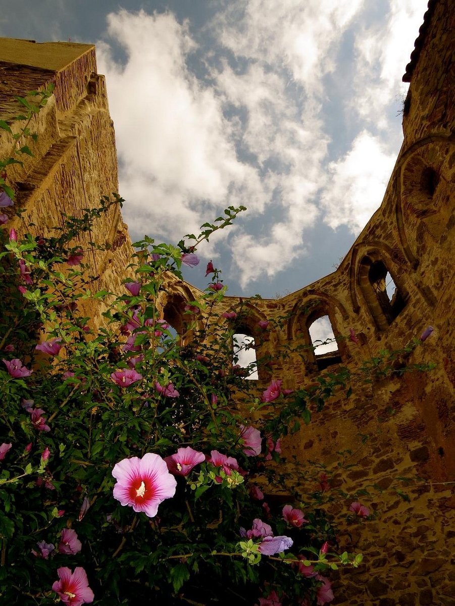 Монастырь Сант-Жерони-де-ла-Муртра https://www.tripadvisor.ru/Attraction_Review-g665816-d7170995-Reviews-Monasterio_de_San_Jeronimo_de_la_Murtra-Badalona_Catalonia.html