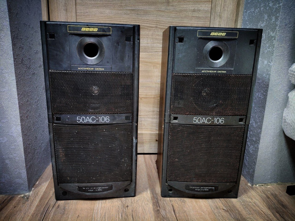 Акустика Вега 50АС-106 (Фото из моего личного архива)