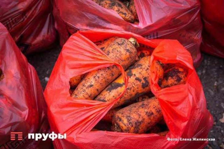    Фото: Пруфы.рф