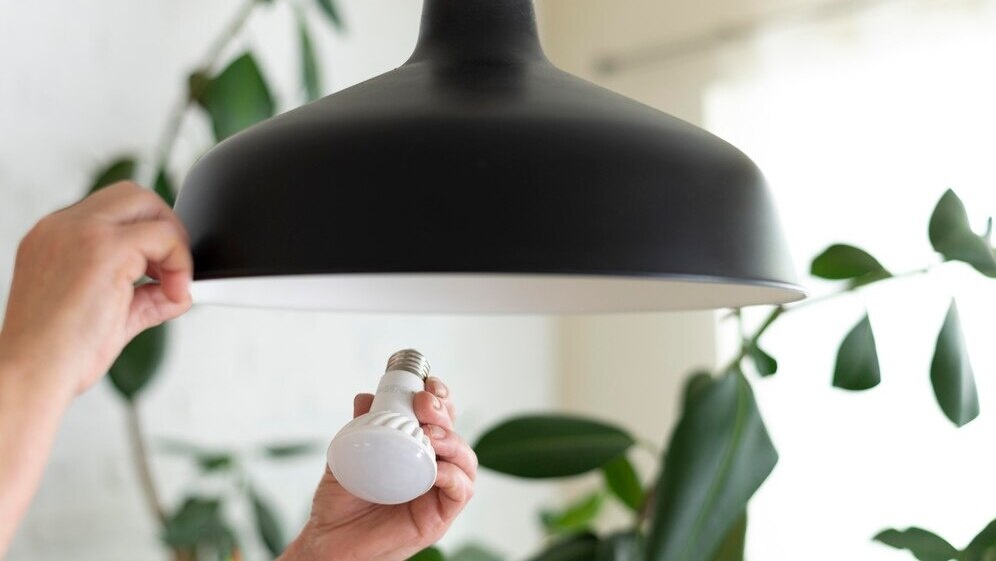 
Фото: freepik.com