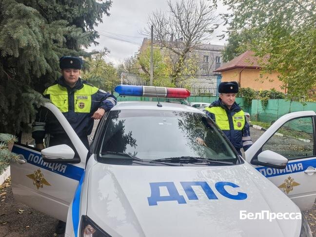 Фото: Алексей Стопичев