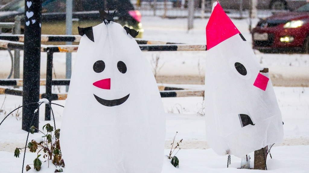    В Нижневартовске, чтобы спасти молодые деревья и кустарники, нарядили их в весёлые костюмы