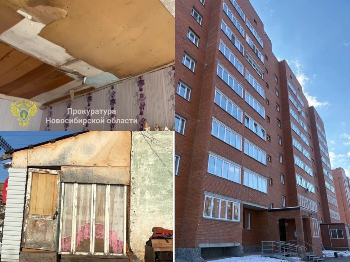    Фото: прокуратура НСО