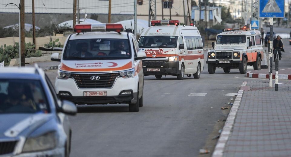    Mohammed Talatene/dpa / www.globallookpress.com