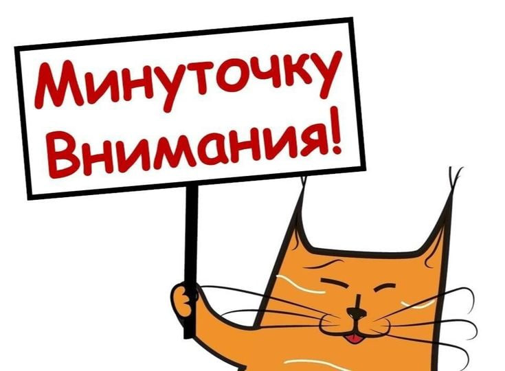 Картинка из интернета