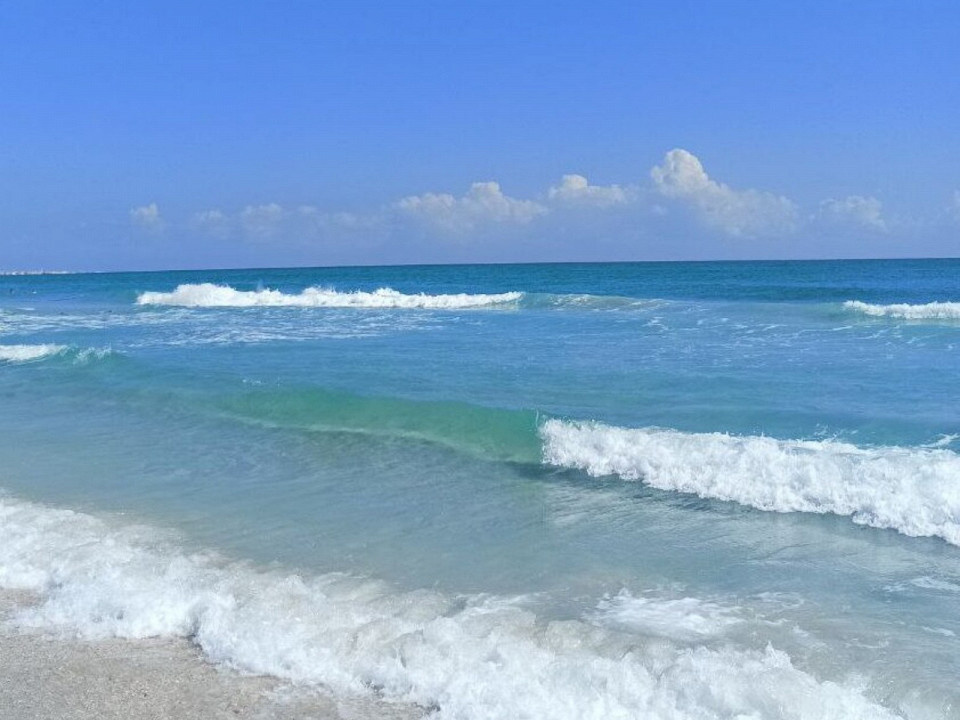 Татьяна Шелих, автор отзыва
