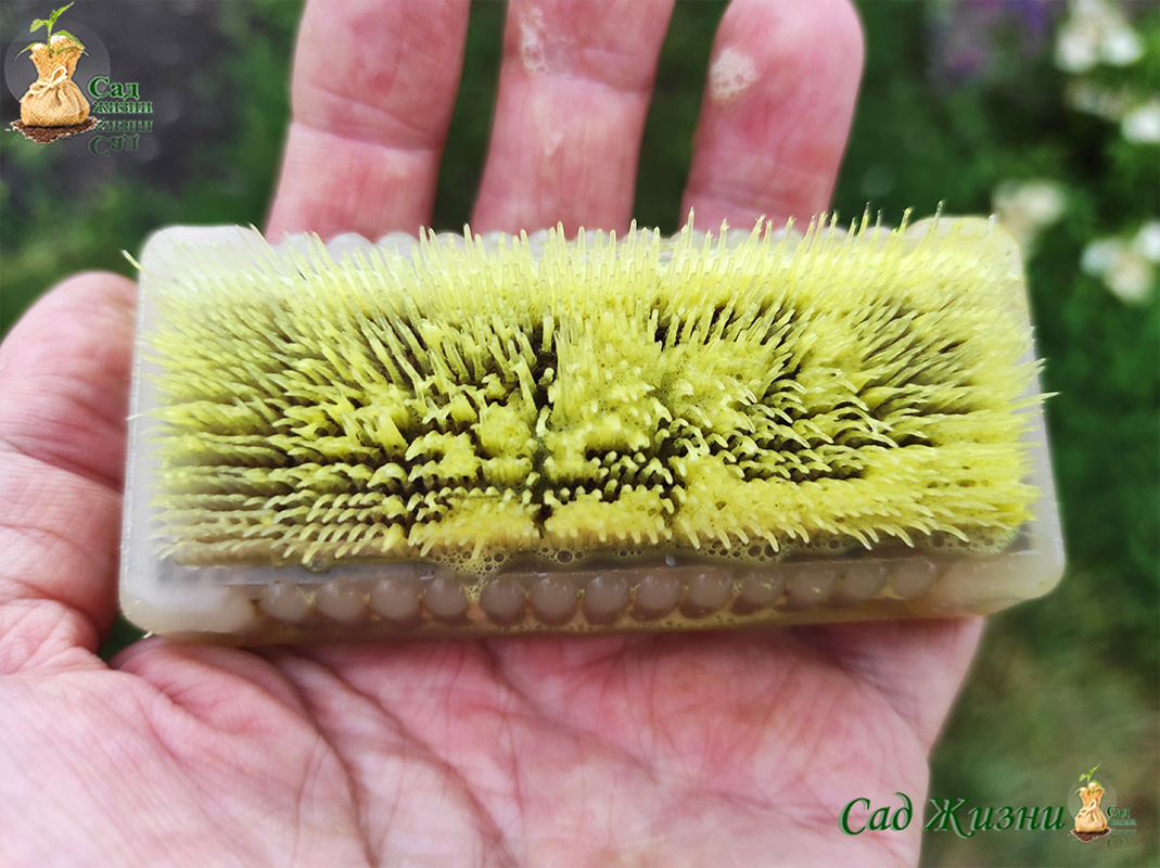 Откуда на руках желтая смола и нужно ли ее бояться