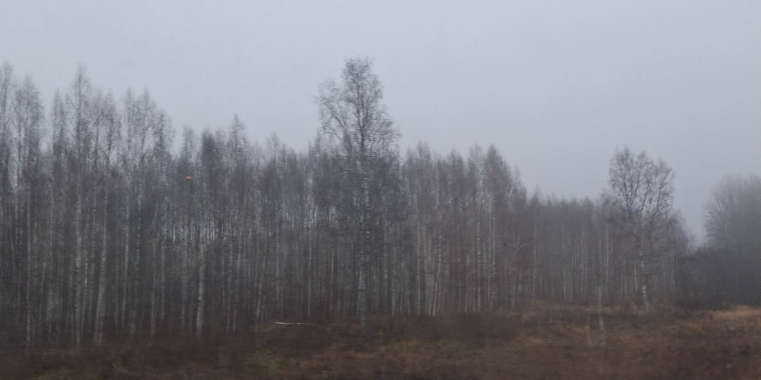 11.11.2025 Настроения совсем нет