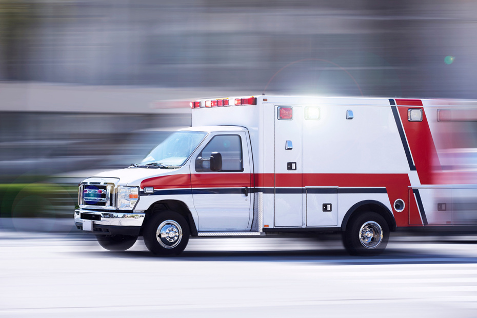    Shutterstock/FOTODOM