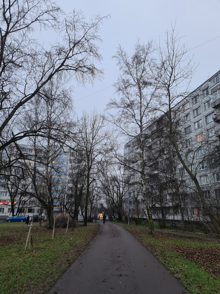 Первый день зимы 2025. Фото из личного архива автора.