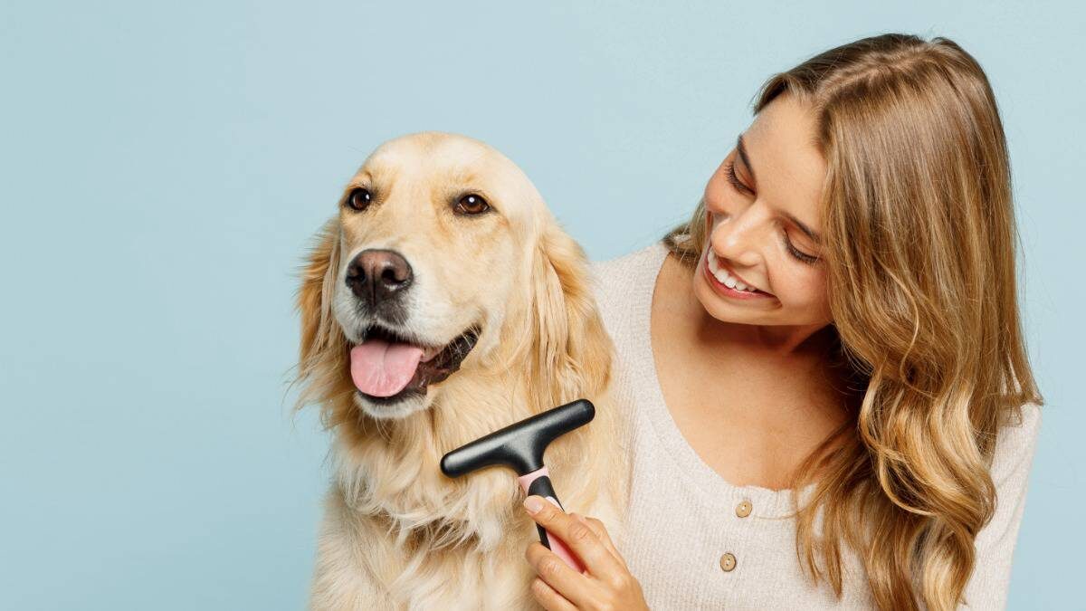    Колтуны нарушают терморегуляцию животного / Фото: Shutterstock