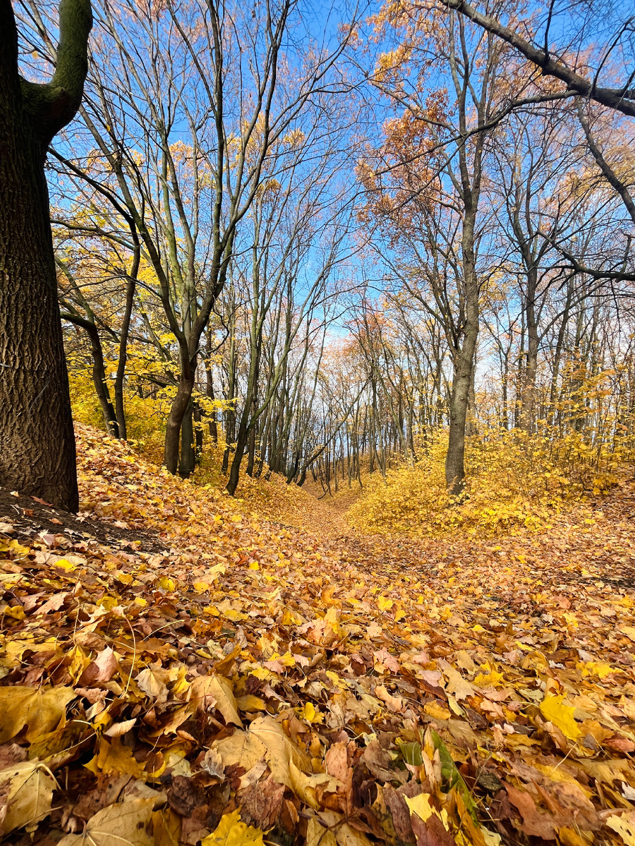 Минута 1: полюбовалась овражком на берегу Волги 