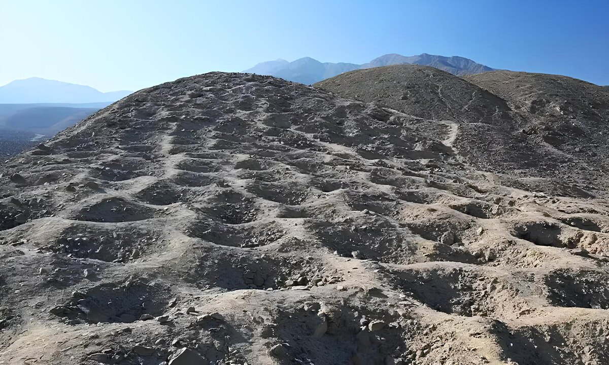 Фото: Charles Stanish