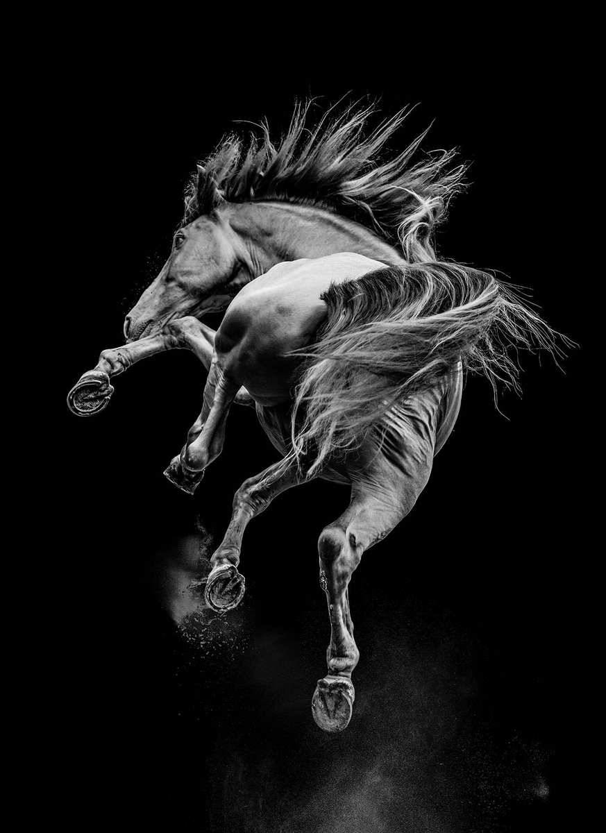 Samantha Dawn Ebeling
  США, Louisburg