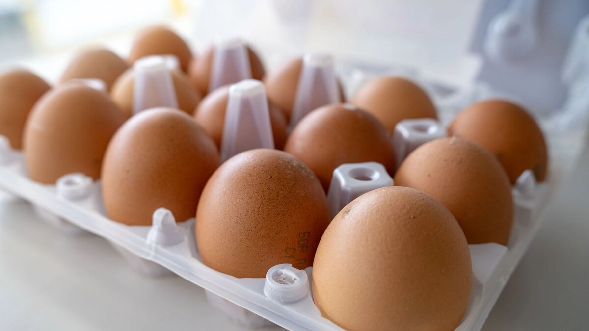    Фото: Сергей Зубков / «Ямал-Медиа»